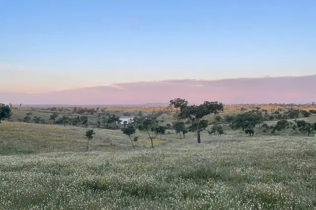 Wellness Escape: Slow Down with Yoga, Lake Swims & Farm-to-Table Food in Portugal