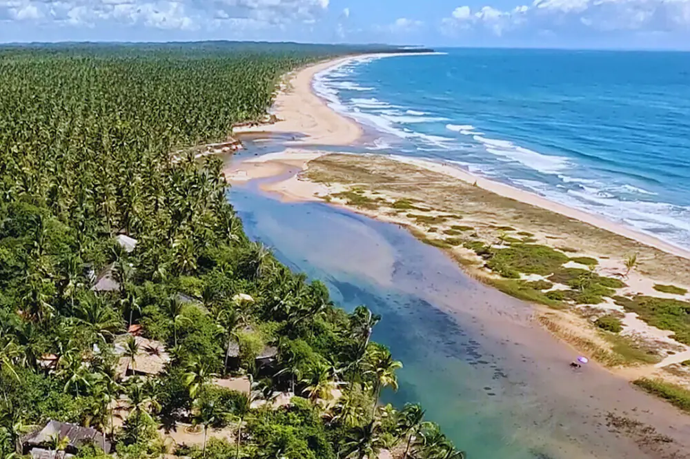 7-Day Wellness & Yoga Immersion on a Hidden Beach in Bahia, Brazil