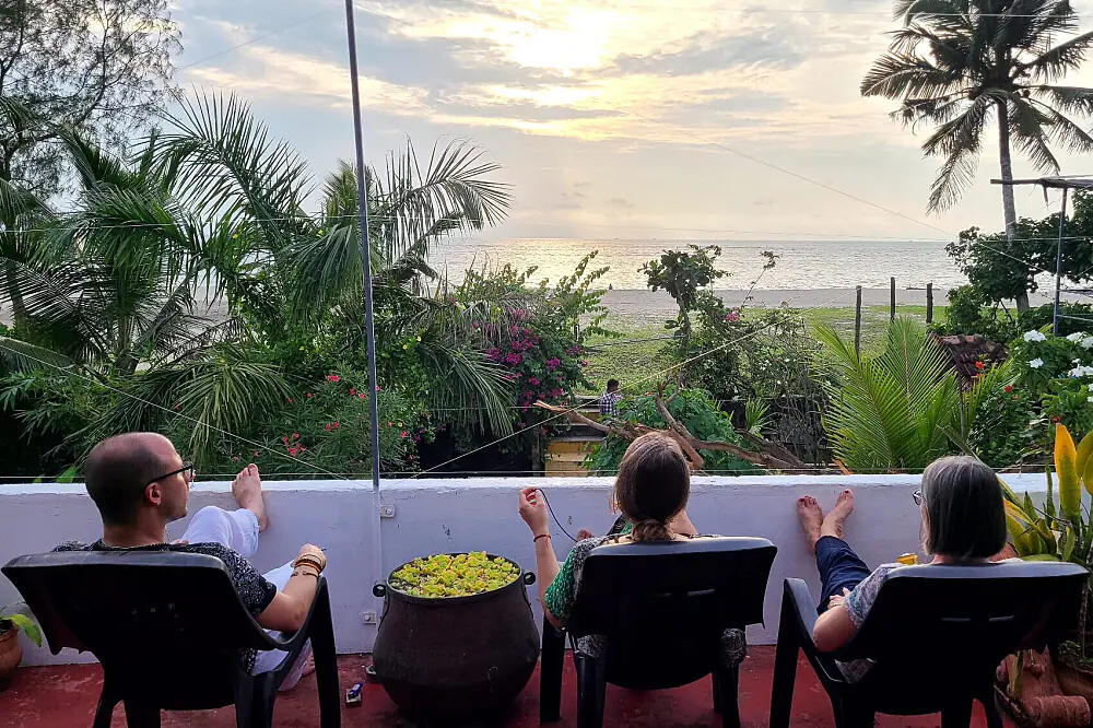 Wellness and Yoga Journey Through the Sacred Sites of South India