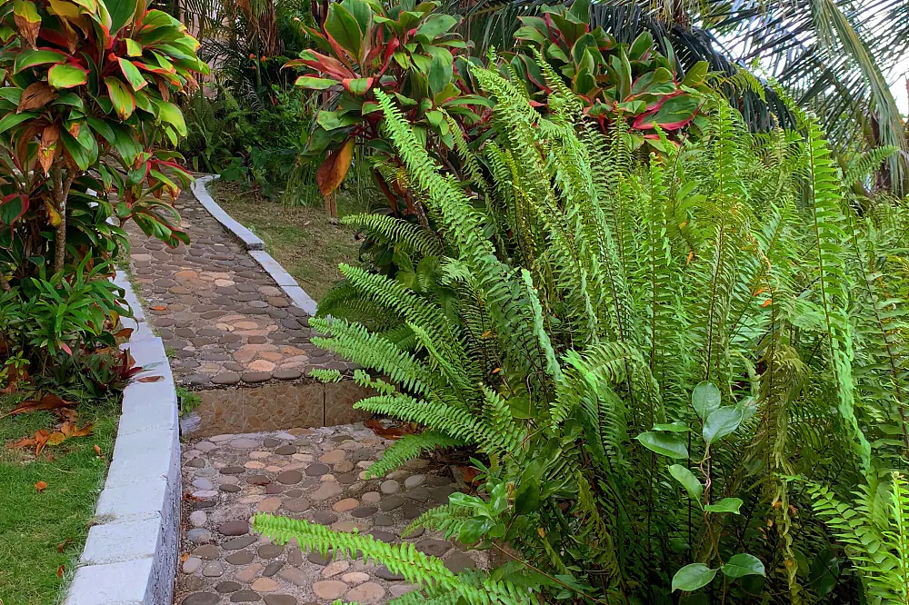 Off-Grid Wellness Retreat in the Jamaican Hills with Daily Yoga and Meditation
