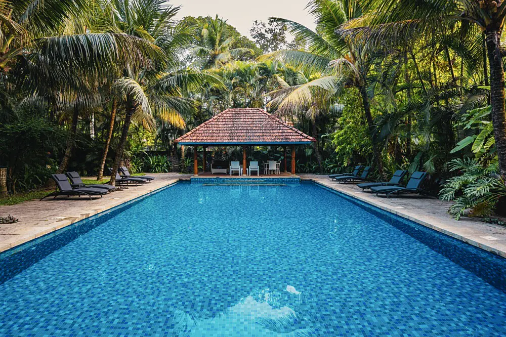 5-Day Ayurvedic Wellness Retreat in Kerala: Reset Your Nervous System