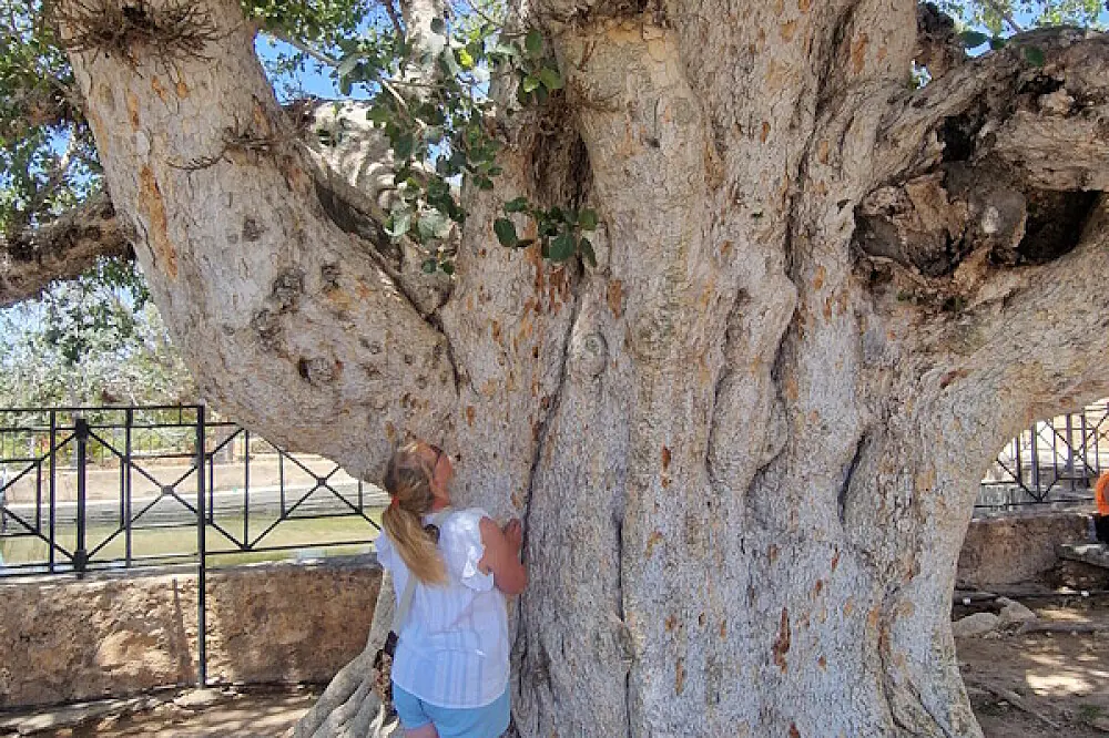 Divine Feminine Wellness & Self-Discovery Retreat in Cyprus
