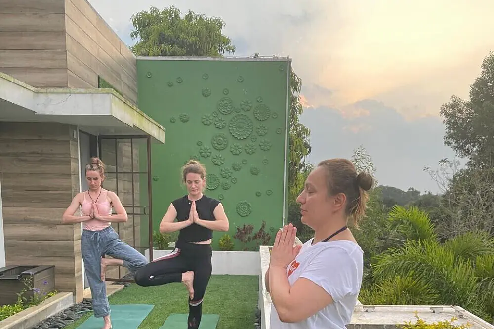 8 Day Relaxing Yoga and Ayurveda Retreat in Kerala, India