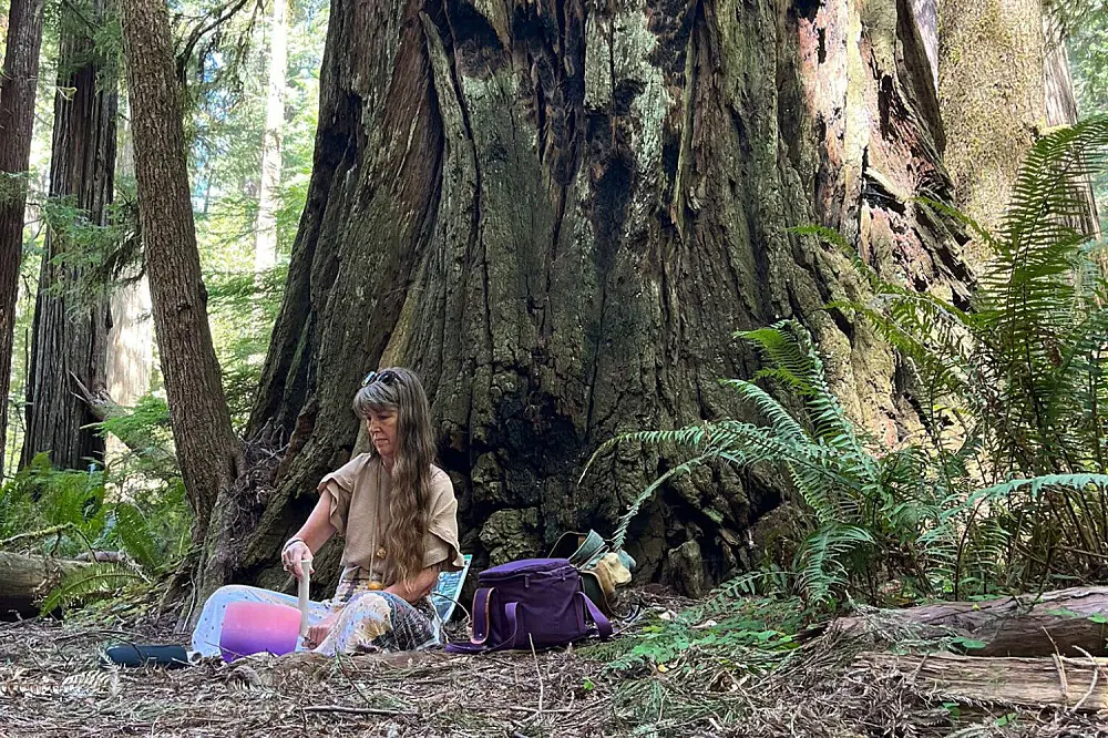 Redwood Forest Wellness & Healing Retreat