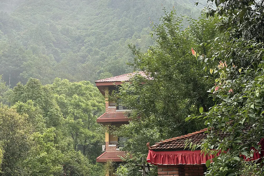 Ayurvedic Panchakarma Detox & Yoga Retreat in the Himalayan Foothills