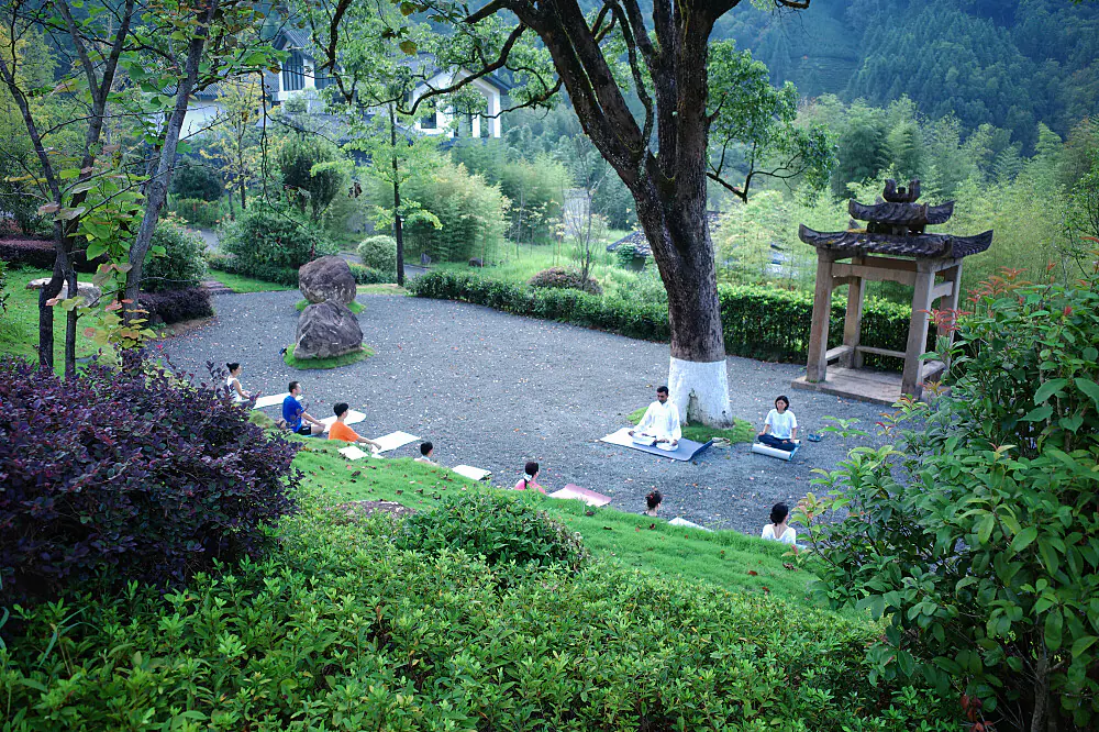 Wellness Immersion: Tea, TCM & Nature in Wuyi National Park