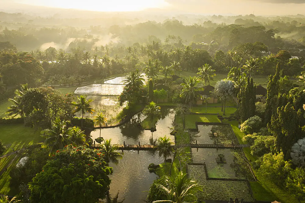 Deep Rest & Sleep Healing Private Wellness Escape in Ubud, Bali