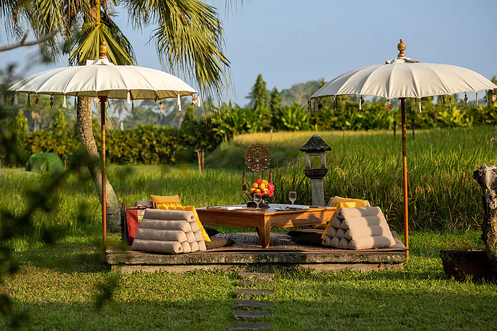 4 Day Freedom & Wellness Retreat in Sacred Ubud, Bali