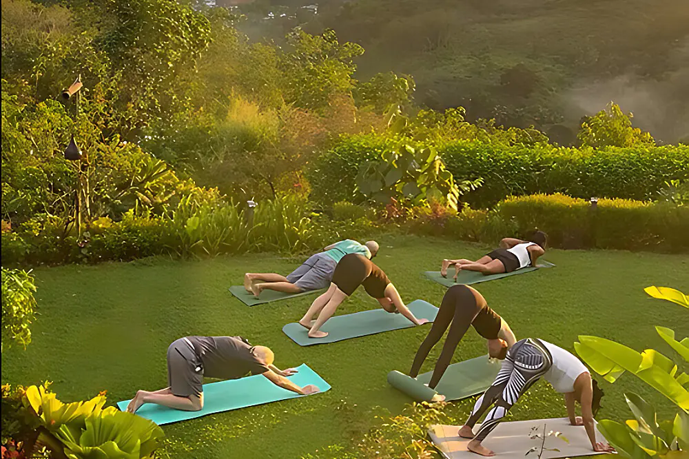 Ayurvedic Gut Regeneration & Wellness Retreat in Kerala, India