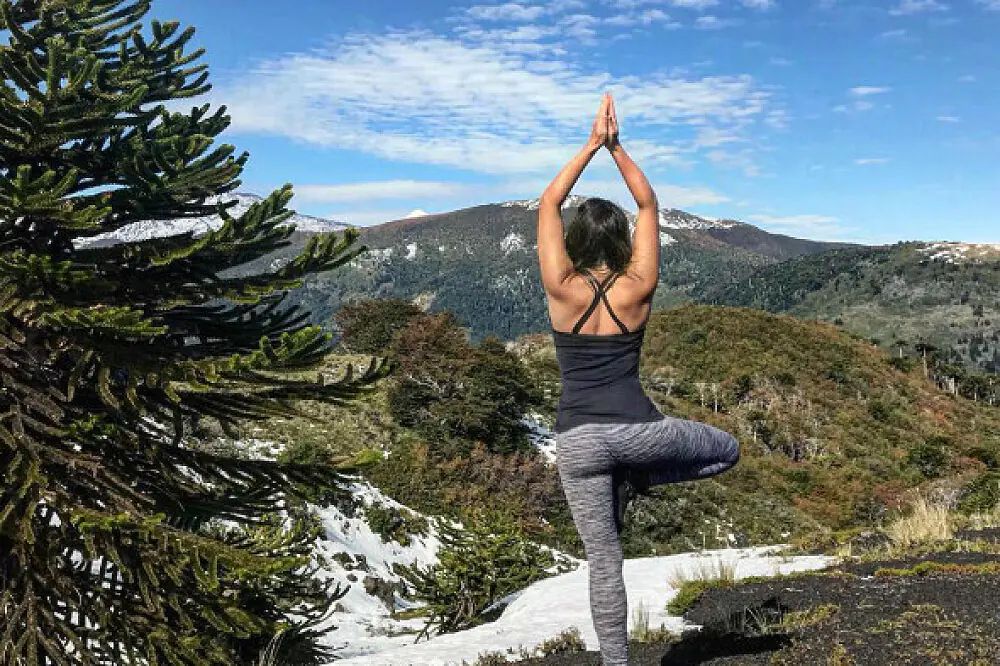 5 Day Sacred Land Wellness Retreat in Pucón: Yoga, Nature, and Ancestral Wisdom