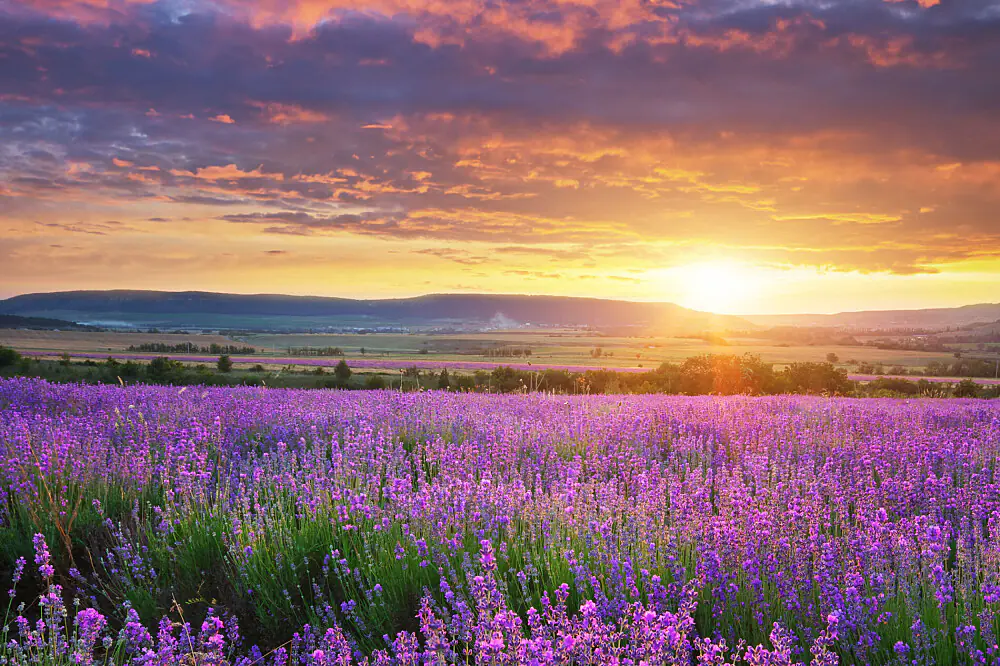 Freedom from Trauma Healing Retreat in the French Countryside