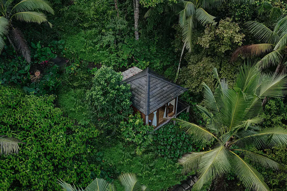 14-Day Jungle Wellness Escape: Balinese Cultural & Nature Retreat