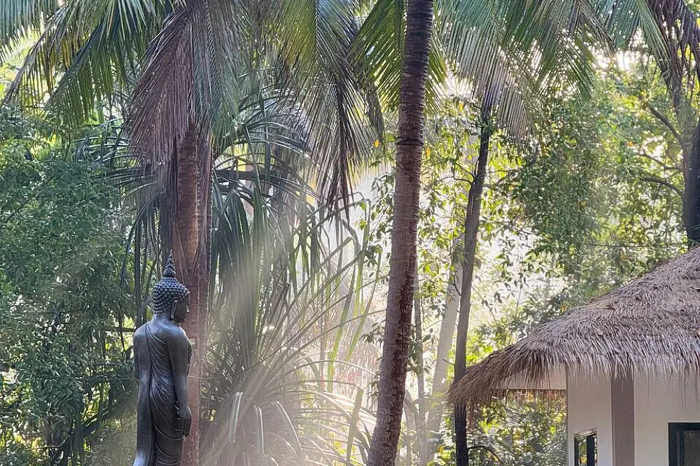 7 Day Vipassana Silent Meditation Wellness Retreat, Koh Phangan, Thailand