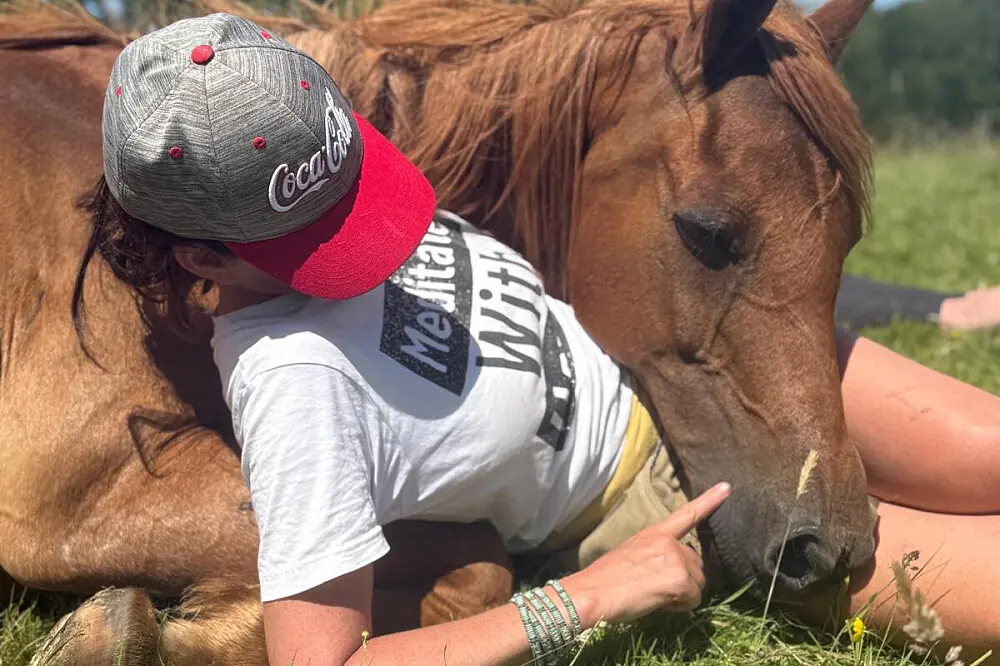 8 Day Silent Wellness Retreat with Equine Therapy in Cumbria