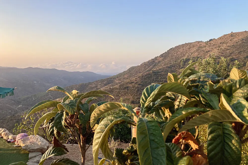 Psilocybin Wellness Retreat in Spain: A Journey of Self-Discovery and Healing