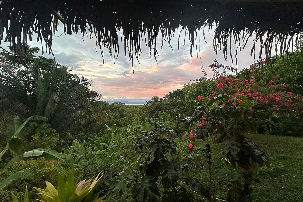 Jungle Immersion & Off-Grid Living Residency in Costa Rica
