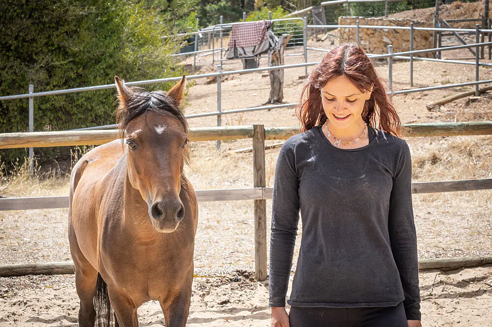 Women's Empowerment Wellness Escape with Equine-Assisted Healing