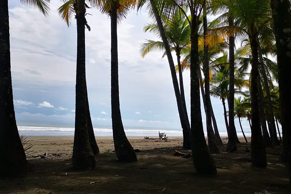 6 Day Women's Solo Self-Love & Wellness Retreat in Costa Rica