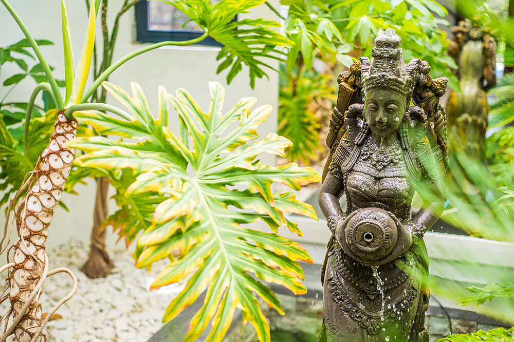 7 Day Yoga & Digital Detox Retreat in Fuerteventura, Spain
