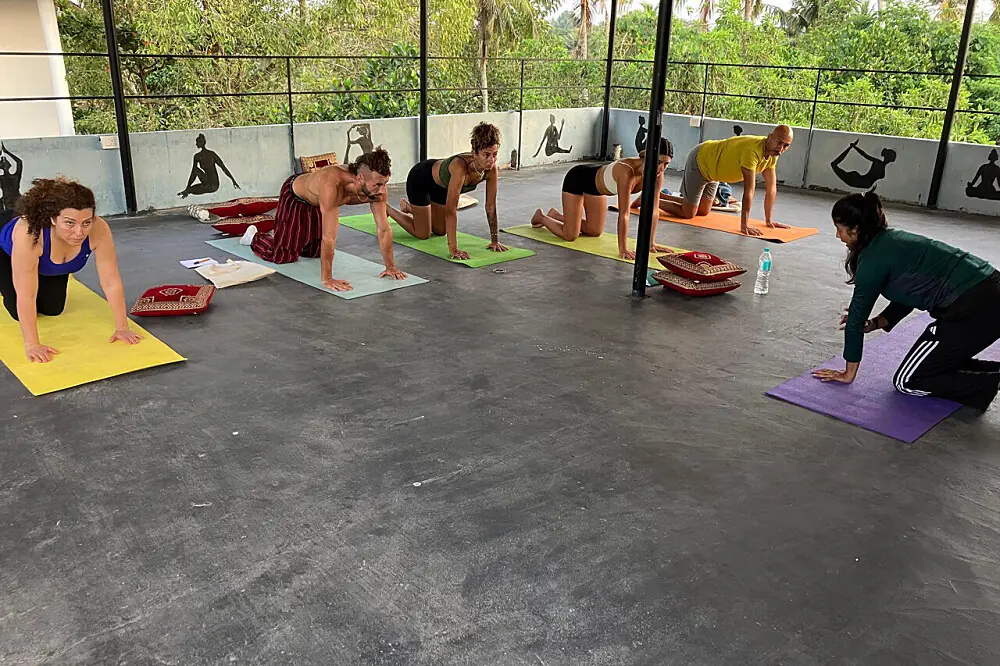 21-Day Authentic Wellness & Yoga Immersion in Kerala's Coastal Paradise