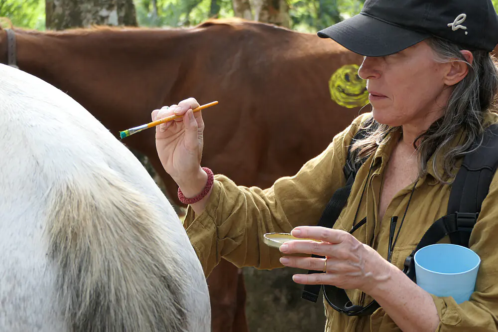 Costa Rica Equine-Supported Healing & Medicine Wheel Wellness Retreat