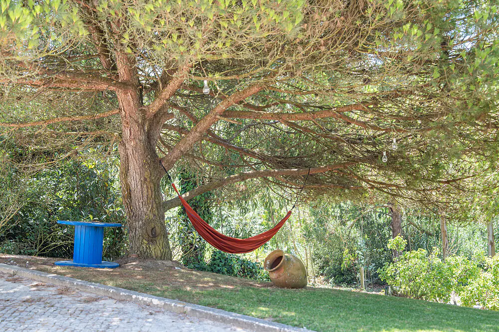 200-Hour Yoga Teacher Training and Wellness Retreat in Peniche, Portugal
