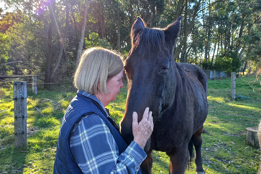 Equine Wellness Escape: Design Your Own Healing Retreat in the NSW Highlands