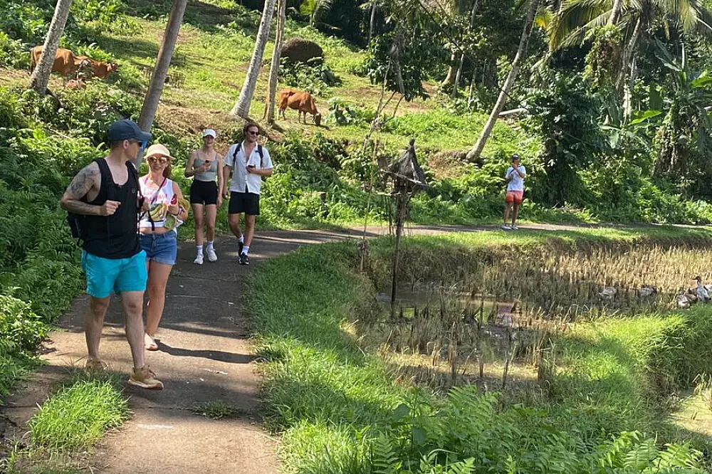4-Day Balinese Yoga & Cultural Immersion in Tabanan, Bali