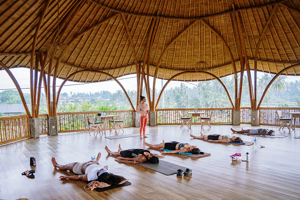 Elemental Balance Wellness Retreat: Traditional Chinese Medicine-Inspired Healing Journey in Bali