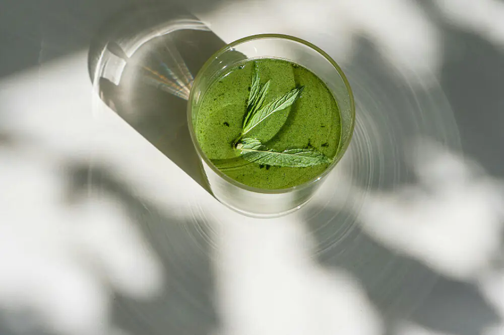 5-Day Advanced Detox & Cellular Rejuvenation Retreat in Albufeira, Portugal