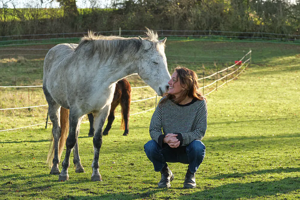 Equine Therapy & Nervous System Reset Retreat in the Somerset Countryside