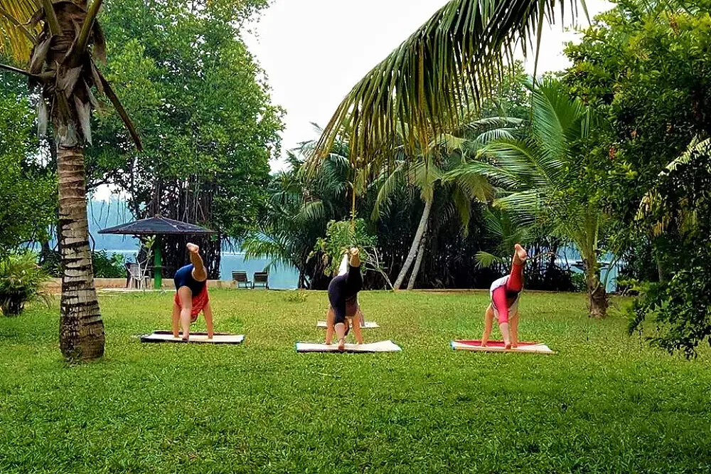 Ayurvedic Wellness & Yoga Retreat on the Bentota River, Sri Lanka