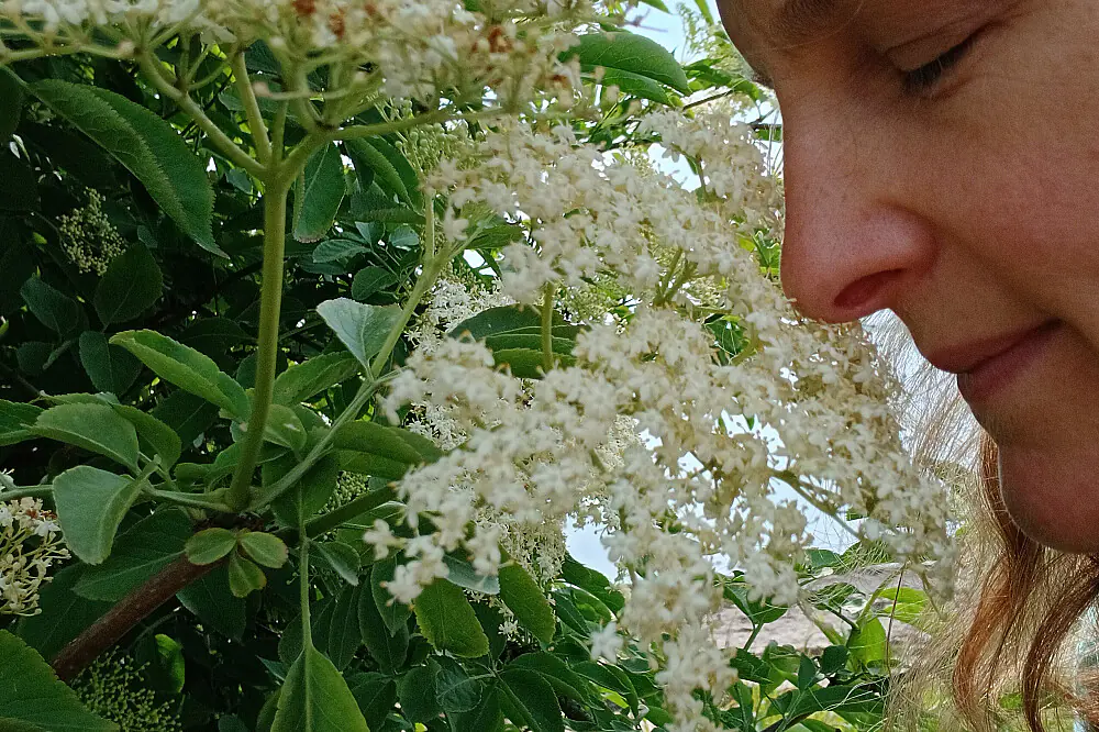 Scottish Coastal Wellness Retreat: Plant Spirit Healing & Inner Wisdom Awakening