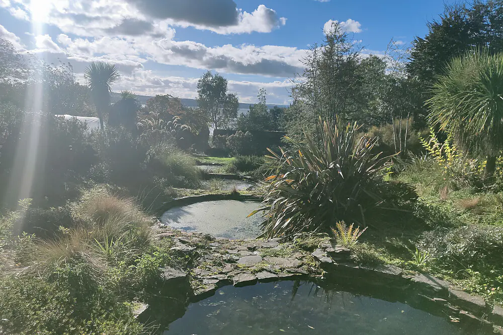 Women's Life Transition & Plant Spirit Healing Retreat in Scotland