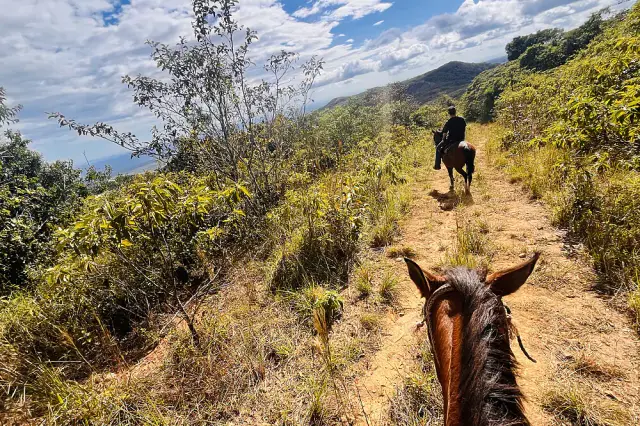 Spring Equinox Yoga, Sound & Detox Escape in Panama's Cloud Forest