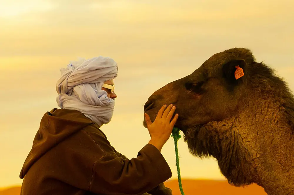 Sahara Desert Wellness Escape: 6-Day Yoga & Meditation Journey Through Morocco