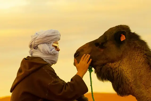 The Authentic Wellness Escape: 6-Day Yoga & Adventure Journey Through Morocco