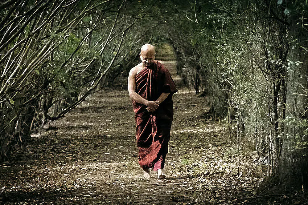 10-Day Buddhist Philosophy & Yoga Wellness Retreat in Rural Sri Lanka