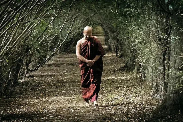 10 Day Mindfulness & Yoga Retreat in the Sri Lankan Countryside