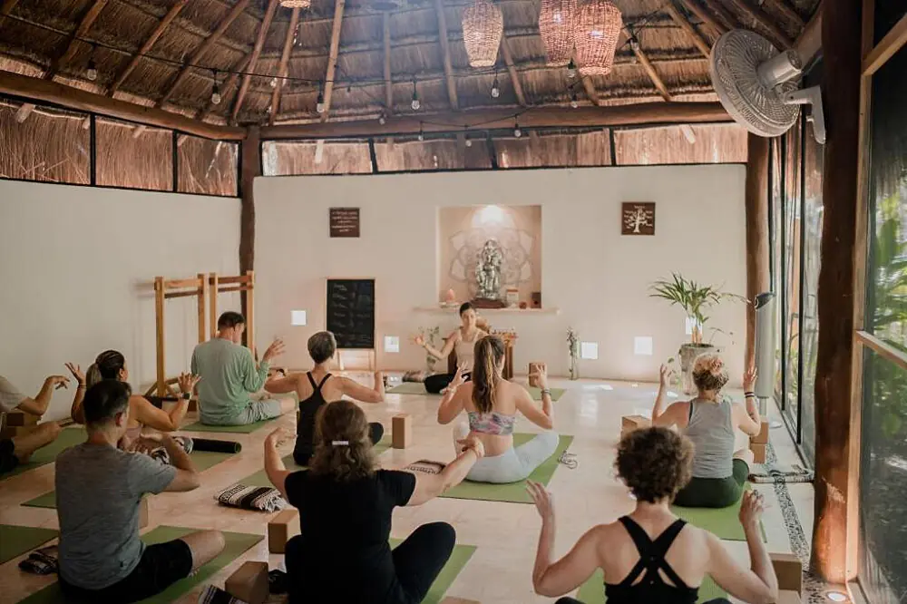 Caribbean Coast Wellness Escape: Yoga, Cenotes & Mayan Culture in Mexico
