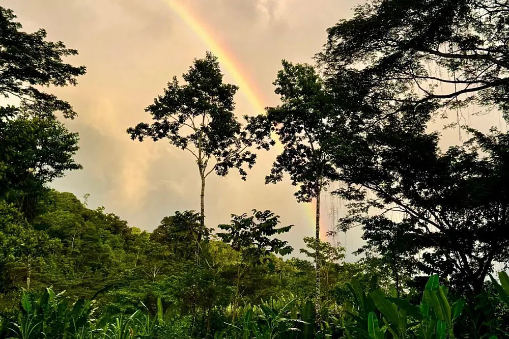7-Day Digital Detox & Nature Immersion Retreat in the Costa Rican Jungle