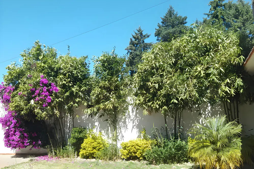 Wellness Escape: 3-Day Inner Peace and Self-Discovery Retreat in Mexico