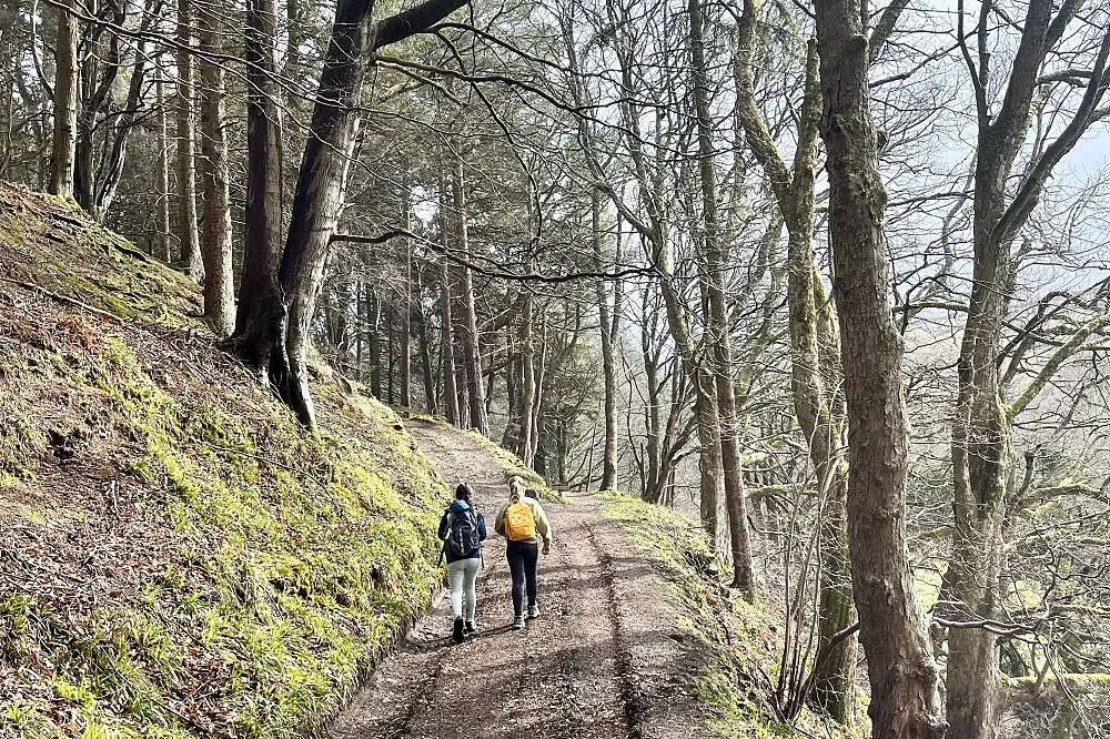 Burnout Recovery & Nature Immersion Retreat in the Teesdale Countryside, UK