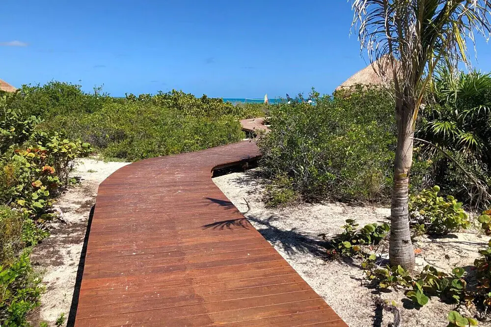 Emotional Wellness Winter Reset in Cancun, Mexico