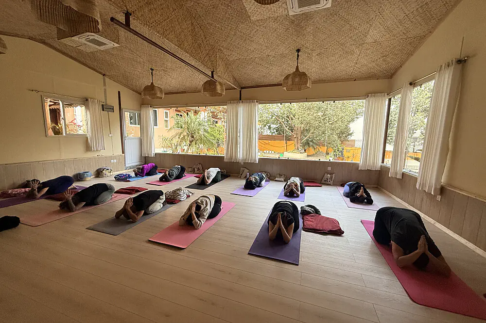 4 Day Yoga, Ayurveda & Sound Healing Retreat in the Himalayas