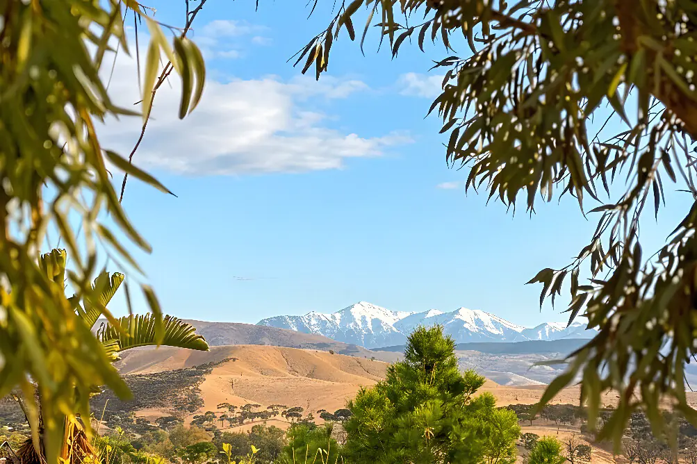 7-Day Wellness and Mindset Reset Retreat in Morocco