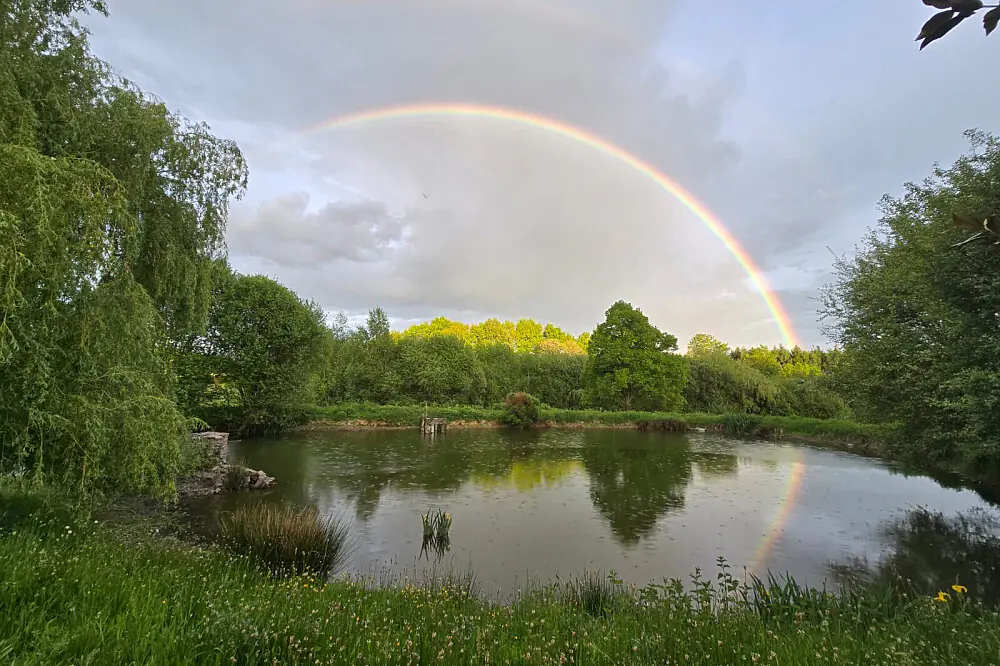 4-Day Emotional Detox & Earth Connection Retreat in the Limousin, France