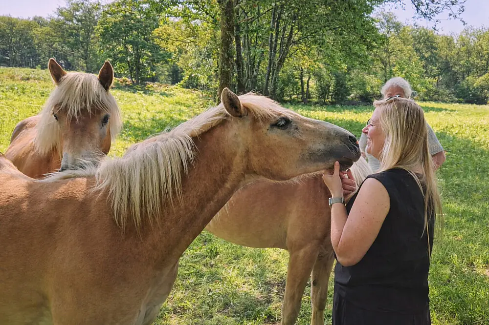 Slow Living & Horse Connection Wellness Retreat in the French Countryside
