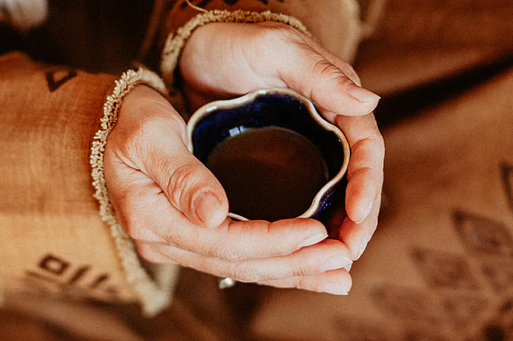 Private Ayahuasca Wellness Journey in the Dutch Countryside