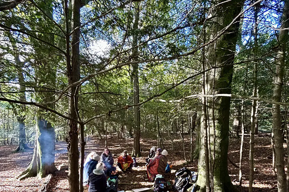 3 Day Forest Bathing & Nature Immersion Wellness Retreat in the UK